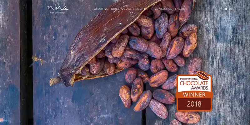 Homepage preview for ninachocolates.com
