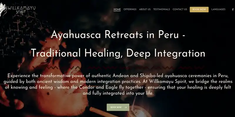 Homepage preview for willkamayuspirit.com